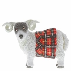 Fiona the Sheep