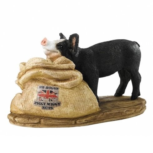 Border Fine Arts Mr Hoggs Piggy Wiggy Nuts - Pig Figurine