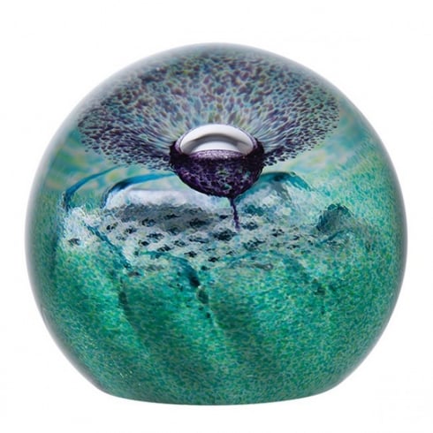Caithness Glass Flower of Scotland Paperweight