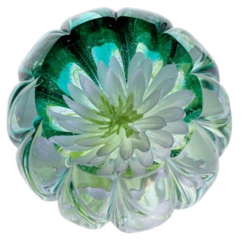 Caithness Glass Royal Botanic Garden Edinburgh Waterlily Paperweight