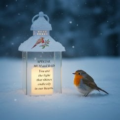 Waterproof Robin Lantern With Timer 25cm - Mum & Dad