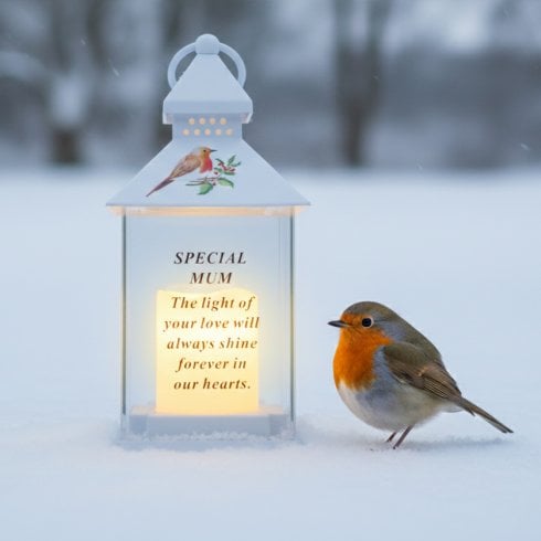 David Fischhoff Waterproof Robin Lantern With Timer 25cm - Mum