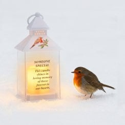 Waterproof Robin Lantern With Timer 25cm - Someone Special