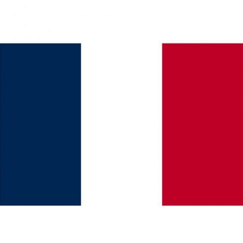 The Present Shop Euro 2024 France Flag