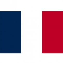 Euro 2024 France Flag