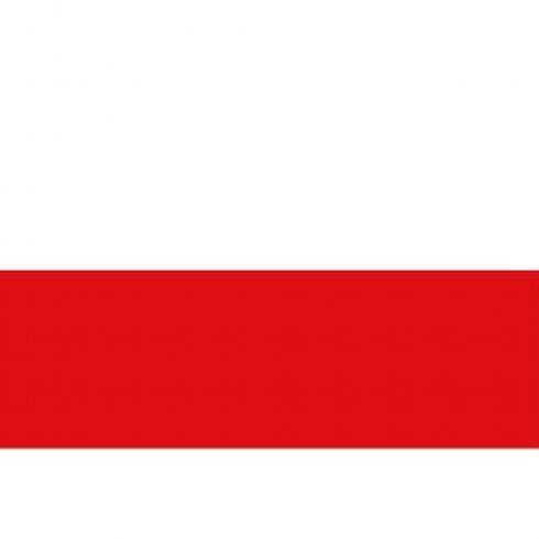 The Present Shop Euro 2024 Poland Flag