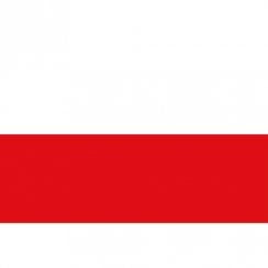 Euro 2024 Poland Flag