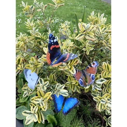 Green Jem Garden Pack Of 4 Butterflies on Sticks GSBUTTERFLY4-S