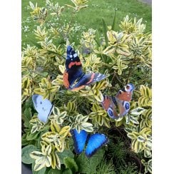 Pack Of 4 Butterflies on Sticks GSBUTTERFLY4-S