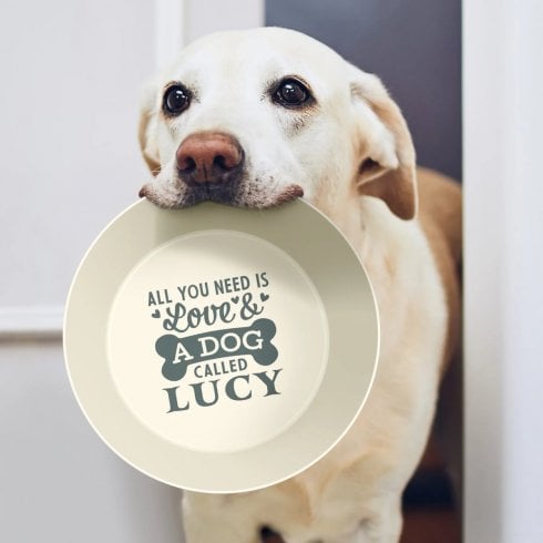 History & Heraldry Personalised Pet Dog Bowl