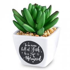Sentiment Succulent - Mermaid