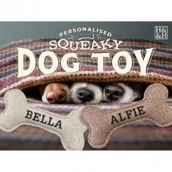 Squeaky Bone Toy