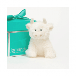 Jomanda Gift Box Pop Up