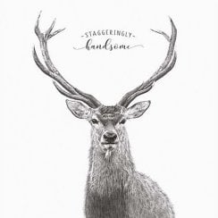 Life In Pencil Birthday Card - Staggeringly Handsome Pencil Drawing
