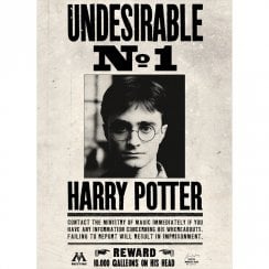Lenticular Card Undesirable No.1