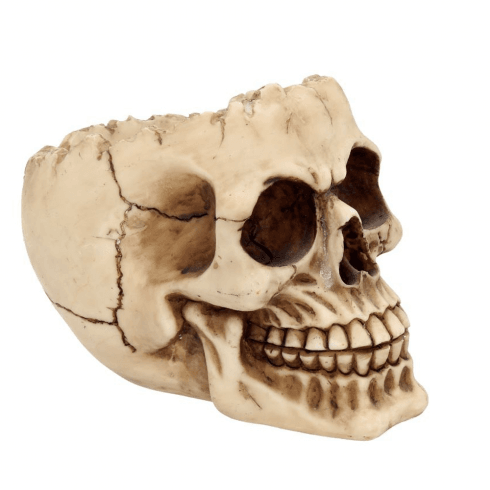 Nemesis Now Lobo Skull Ashtray Figurine - 14.5cm