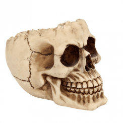 Lobo Skull Ashtray Figurine - 14.5cm
