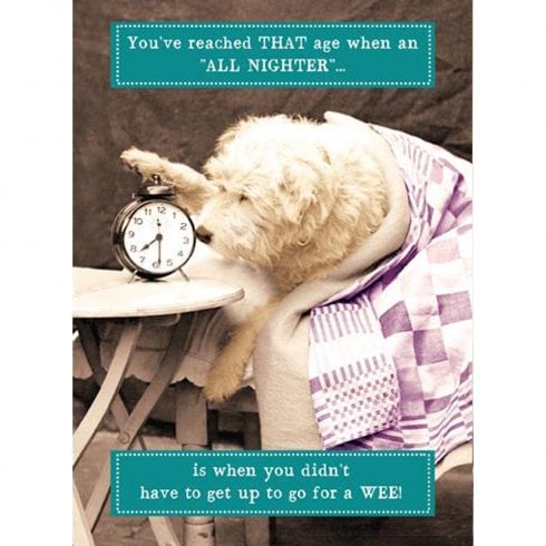 Pigment Animal Antics Birthday Card - All Nighter