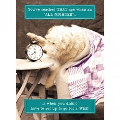 Animal Antics Birthday Card - All Nighter