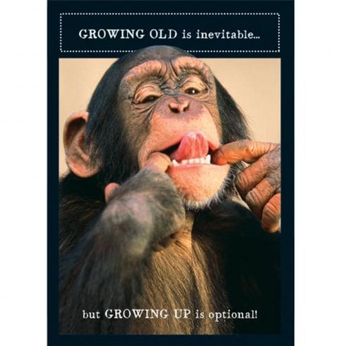 Pigment Animal Antics Birthday Card - Monkey Growing Old Inevitable