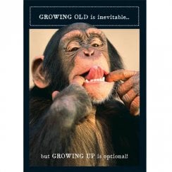 Animal Antics Birthday Card - Monkey Growing Old Inevitable