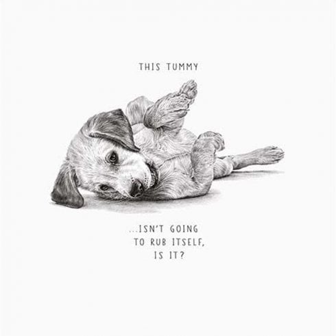 Pigment Life In Pencil-Tummy Isnt Going To Rub Its Self Dog-General