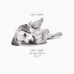Life In Pencil-Tummy Isnt Going To Rub Its Self Dog-General