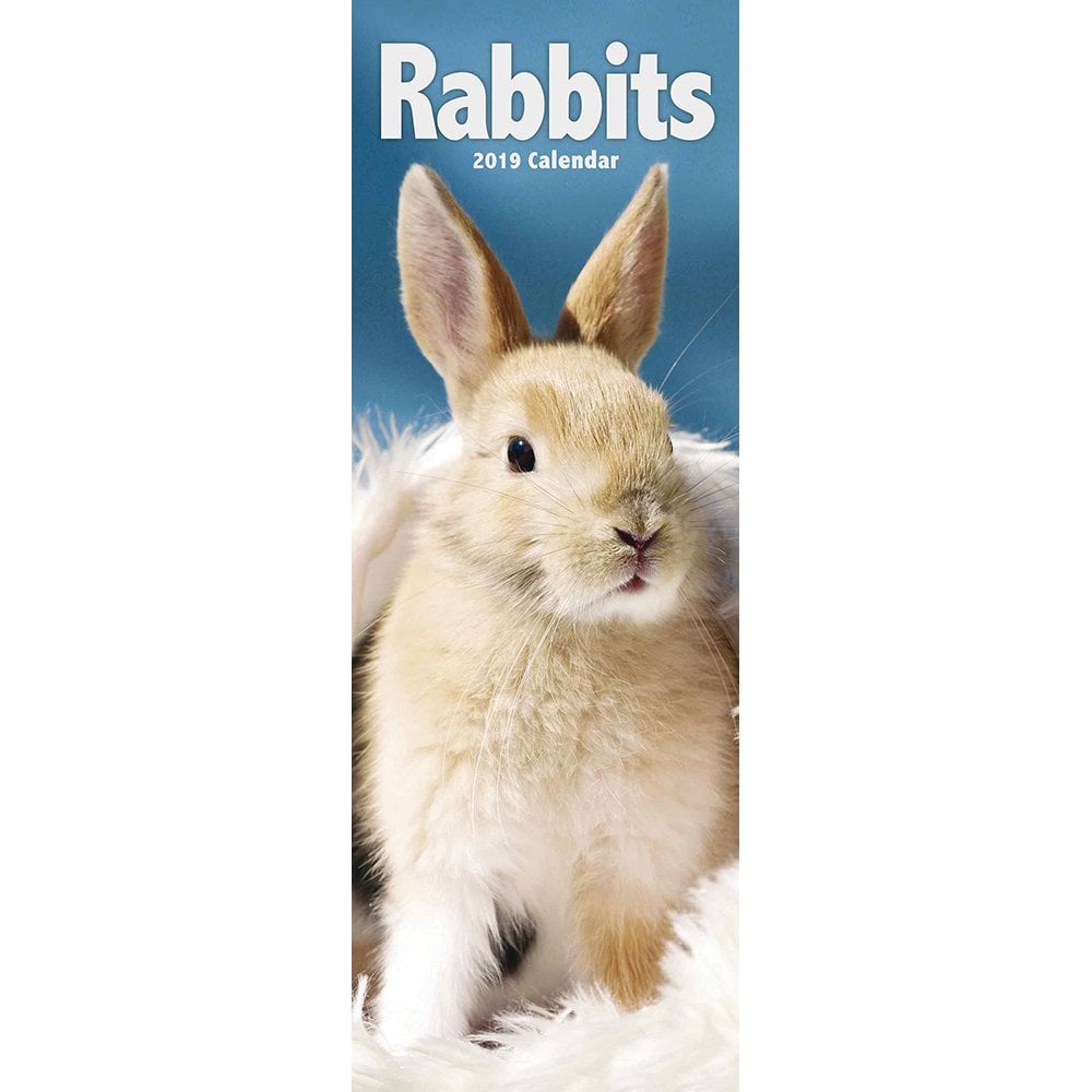Rabbits Slim Calendar 2019 102102