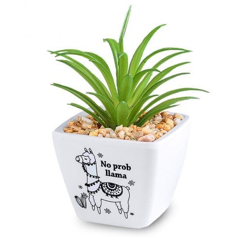History & Heraldry Sentiment Succulent - No Prob Llama