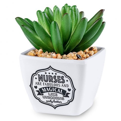 History & Heraldry Sentiment Succulent - Nurse