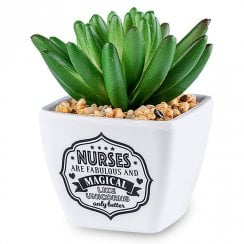 Sentiment Succulent - Nurse