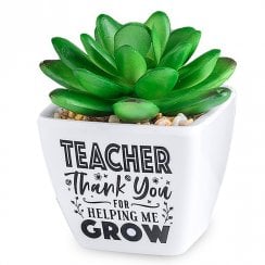Sentiment Succulent - Teacher