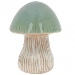 Large Pretty Mushroom Button