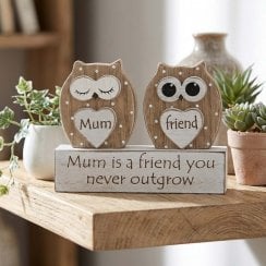 Mum A Friend You Never Outgrow Dreamy Owl Desk Table Plaque