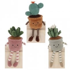 Pot Plant Pals Succulents