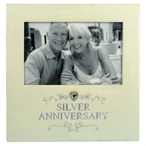 Shudehill Giftware Silver Anniversary 6