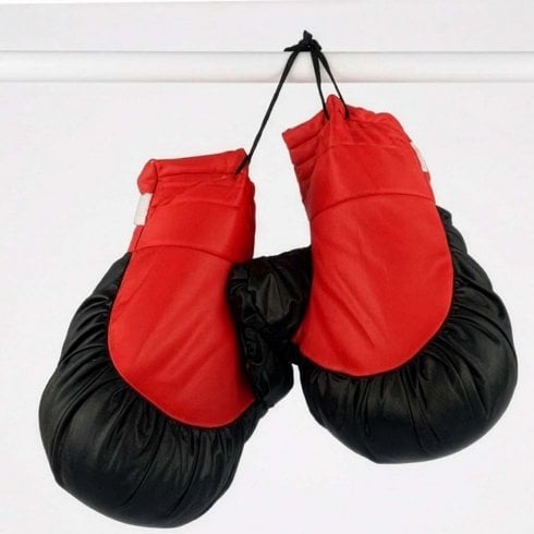 The Present Shop Fancy Dress Boxing Gloves