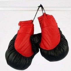 Fancy Dress Boxing Gloves