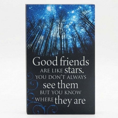 The Present Shop Good Friends Are Like Stars Mini Canvas