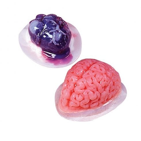 The Present Shop Heart and Brain Gelatine Mould Set