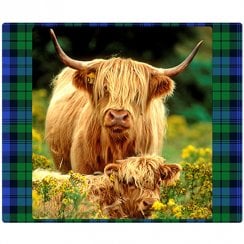 Highland Cow Placemats - Pack of 4