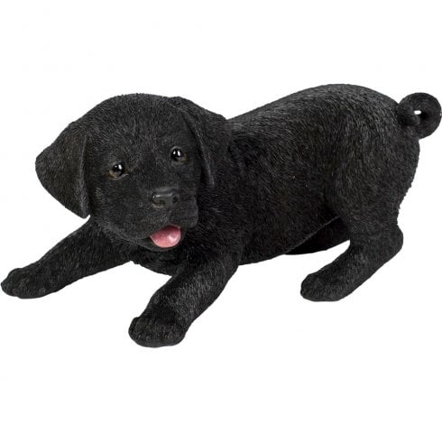 Vivid Arts Active Black Labrador Puppy Ornament