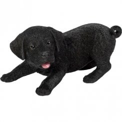 Active Black Labrador Puppy Ornament