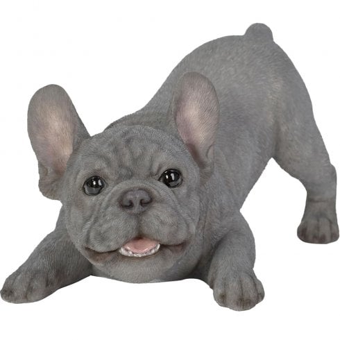 Vivid Arts Active Puppy Blue French Bulldog Ornament