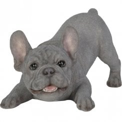 Active Puppy Blue French Bulldog Ornament