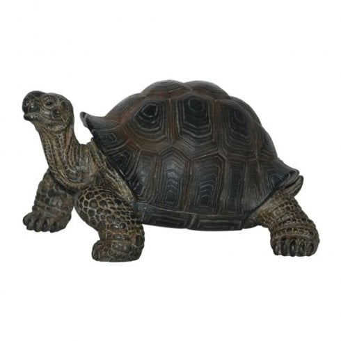 Vivid Arts Pet Pal Baby Tortoise Ornament 