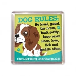 Cavalier King Charles Spaniel Magnet